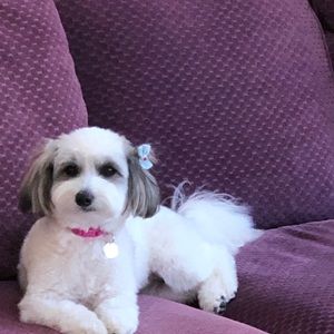 Meet your Posher, Anna